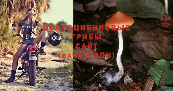 соль ск Арсеньев