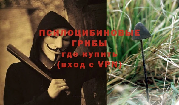 соль ск Арсеньев