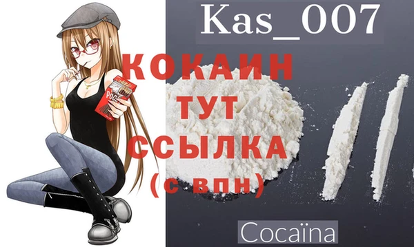 соль ск Арсеньев