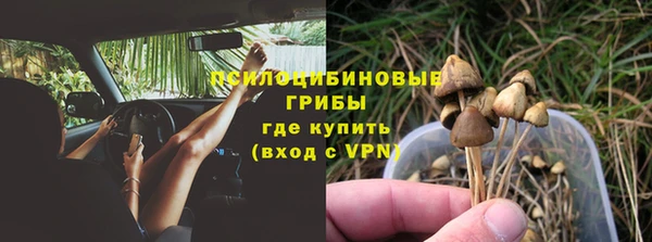 сатива Армянск